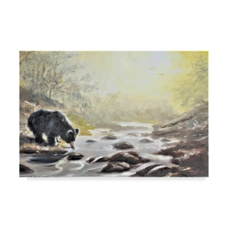 Trademark Fine Art D Rusty Rust 'Black Bear In Stream' Canvas Art, 12x19 ALI41819-C1219GG